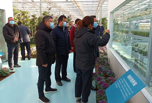 中农富兴精品案例 开封爱思嘉农业嘉年华植物工厂组培室项目——植物保育员的智慧之家