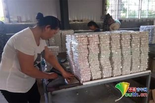河南南召 实用技能培训点亮致富梦想，保育员成为“香饽饽”